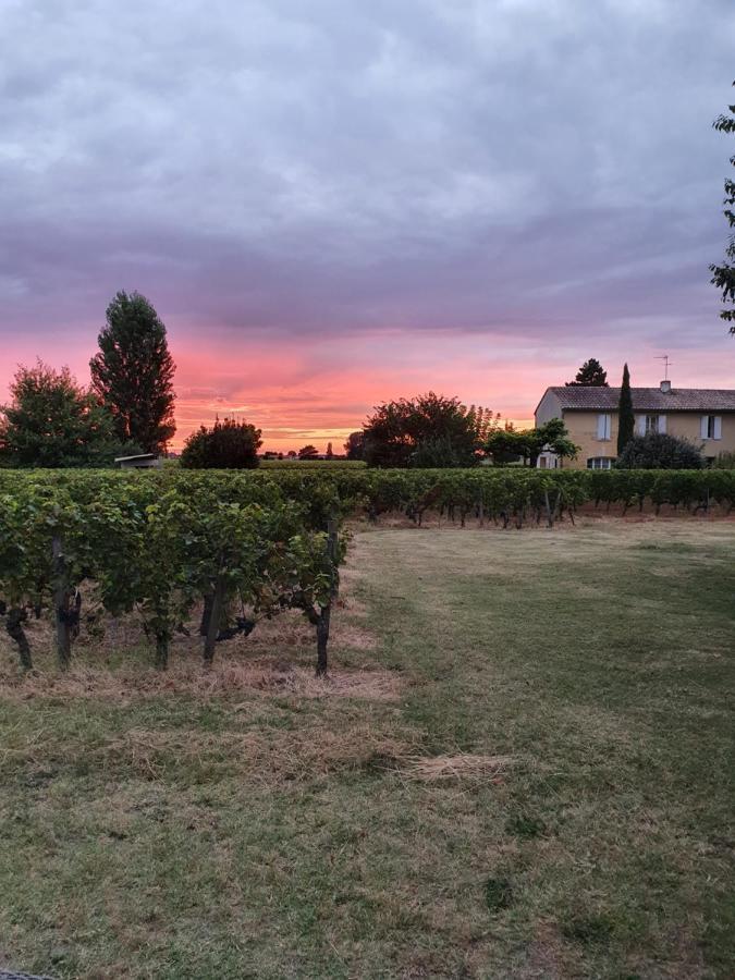 299 Bigaroux Hotel Saint-Émilion Kültér fotó